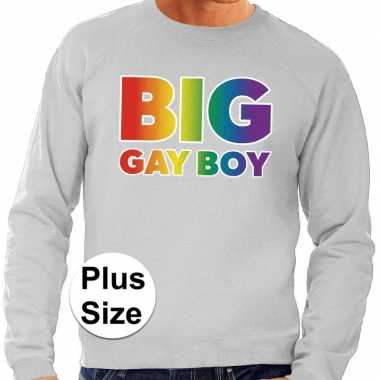 Grote maten big gay boy regenboog sweater grijs heren t-shirt kopen