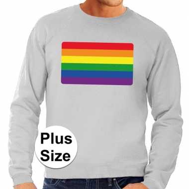 Grote maten regenboog vlag sweater grijs heren t-shirt kopen