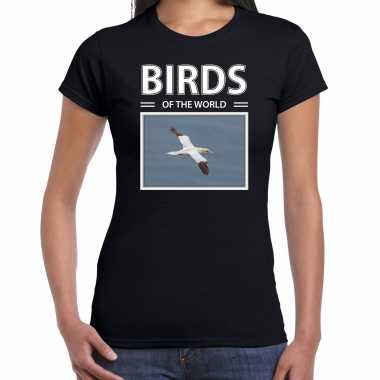 Jan gent vogels dieren foto birds of the world zwart dames t-shirt kopen
