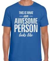Awesome person tekst blauw heren t-shirt