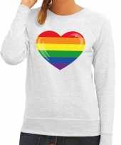Gay pride regenboog hart sweater grijs dames t-shirt