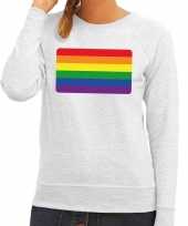 Gay pride regenboog vlag sweater grijs dames t-shirt