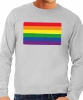 Gay pride regenboog vlag sweater grijs heren t-shirt
