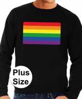 Grote maten gay pride regenboog vlag sweater zwart heren t-shirt