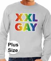 Grote maten xxl gay regenboog sweater grijs heren t-shirt